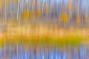 Fall Pond II
