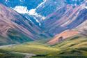 Danali National Park I