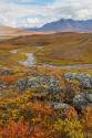 Arctic National Preserve I