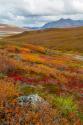 Arctic National Preserve II