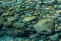 Sol Duc River Rocks II