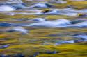 Reflections of Fall I