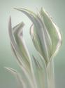 Pale Green Beginning I