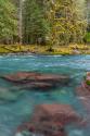 NF Skokomish River III