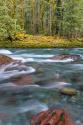 NF Skokomish River IV