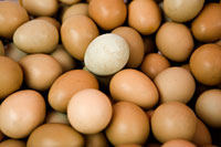 Eggs II