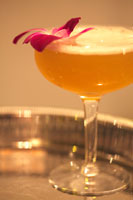 Happy Hour III