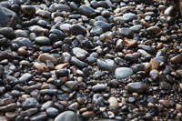 Pebble Patch II