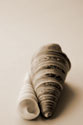 Shell Symmetry II