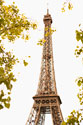 Eiffel Tower II