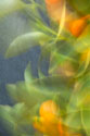 Abstract Vision I