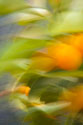 Abstract Vision II