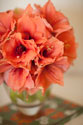 Peach Bouquet