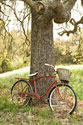 Go by Bike II