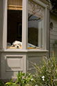 A Dog's Life III
