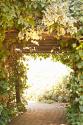Secret Garden II