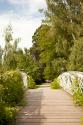 Secret Garden IV