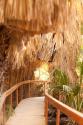 Palm Pathway I