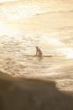 Summer Surfing I