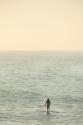 Summer Surfing II