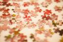 Puzzle III
