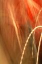 Copper Curves I