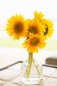 Sunflowers in Small Vase