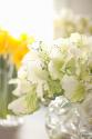 White Bouquet