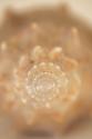 Sea Shell V
