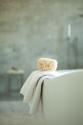 Bath is Ready II