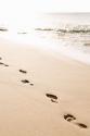 Beach Walk