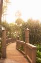 Path to the Beach