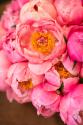 Variations Of Pink Bouquet
