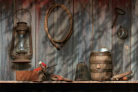 Out in the Barn II