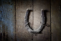 Horseshoe