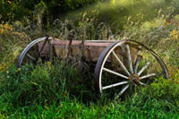 Abandoned Farm Equipment