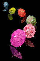 Cocktail Umbrellas VIII
