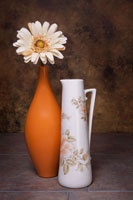 Orange Vase with Pitcher I