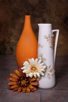 Orange Vase with Pitcher II