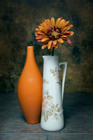Orange Vase with Pitcher III