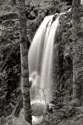 Waterfall I