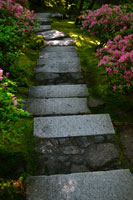Garden Stairs I