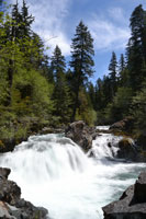 Rapids I