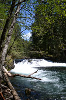 Rapids II