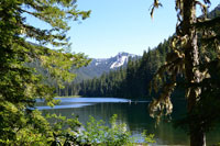 Morning at the Lake III