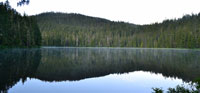 Morning at the Lake V