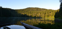 Morning at the Lake VI