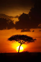 Kenya Sunrise