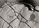 Texture 2