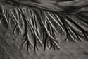 Texture Sand 2